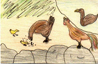 Hisae's postcard: chicks, ducks pecking